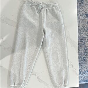 Aritzia SweatFleece Cozy Fleece Mega Fit (TNA branding) Joggers
